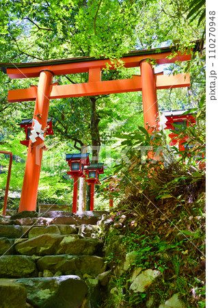 京都　新緑の貴船神社　中宮　結社（京都府京都市） 110270948