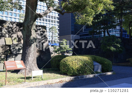 東京都千代田区の江戸城址和田倉門跡 110271281