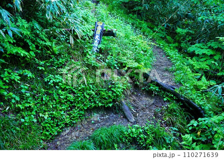 焼石岳4合目の大森沢標柱 110271639