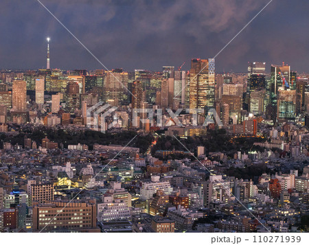 （東京都）SHIBUYA SKYから眺める東京都市風景 110271939