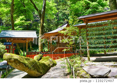 京都 新緑の貴船神社 中宮 結社と天乃磐船と結び文(京都府京都市) 京都 新緑の貴船神社 中宮 結社と天乃磐船と結び文(京都府京都市) 110272407