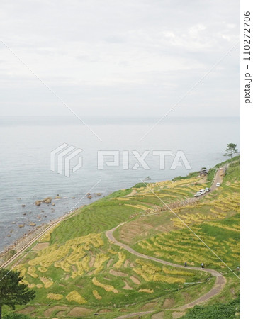 石川県 白米千枚田 観光地 石川県 白米千枚田 観光地 110272706