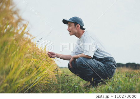 rice farming 110273000