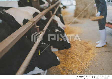 ranch 110273003
