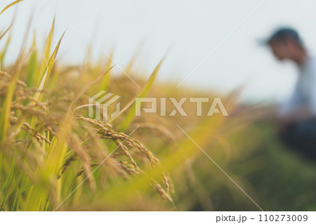 rice farming 110273009