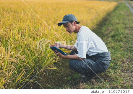 rice farming rice farming 110273017