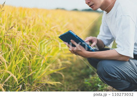 rice farming 110273032