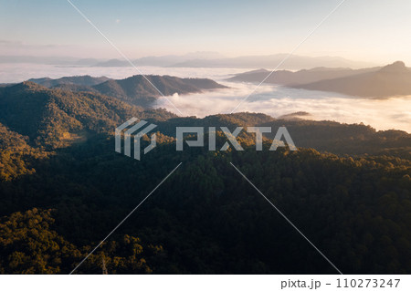 Aerial view of forest and mountain in fog with golden sunbeams at sunrise Aerial view of forest and mountain in fog with golden sunbeams at sunrise 110273247