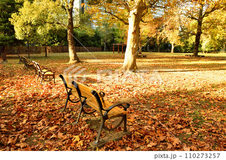枯れ葉に埋もれる公園のベンチ 110273257