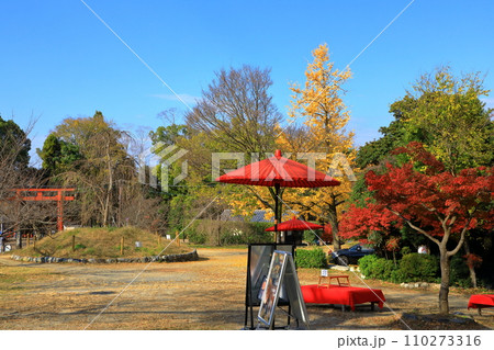 京都 名勝円山公園の紅葉 京都 名勝円山公園の紅葉 110273316
