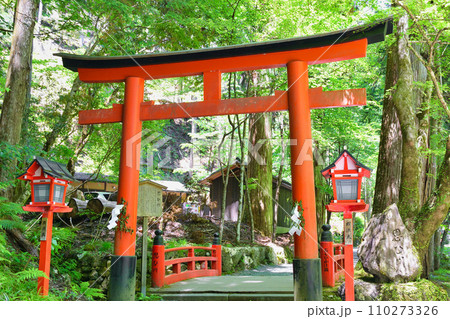 京都 新緑の貴船神社 鳥居と思ひ川と思ひ川橋(京都府京都市) 京都 新緑の貴船神社 鳥居と思ひ川と思ひ川橋(京都府京都市) 110273326