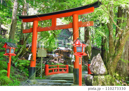 京都 新緑の貴船神社 鳥居と思ひ川と思ひ川橋(京都府京都市) 京都 新緑の貴船神社 鳥居と思ひ川と思ひ川橋(京都府京都市) 110273330