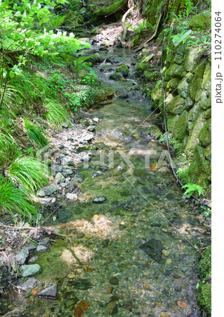 京都　新緑の貴船神社　思ひ川（京都府京都市） 110274064