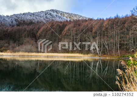 【聖高原】静寂と霧氷【中牧湖】 【聖高原】静寂と霧氷【中牧湖】 110274352