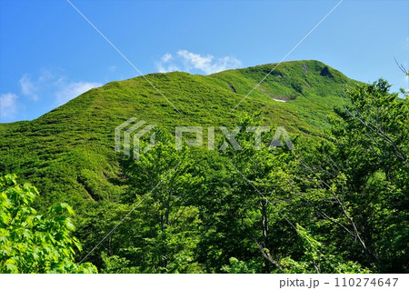 焼石岳7合目からの三界山 110274647