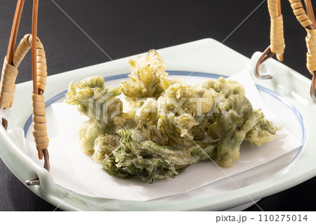 タラの芽　天ぷら 110275014