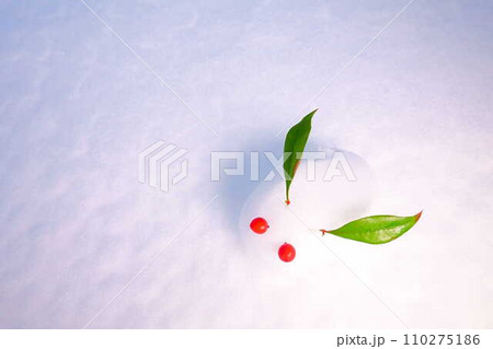雪うさぎ 雪像 ウサギ うさぎ 兎 雪うさぎ 雪像 ウサギ うさぎ 兎 110275186