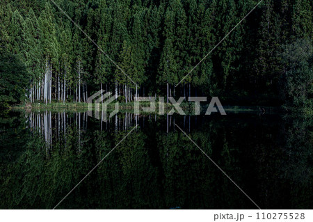 室生　龍王ヶ淵 110275528