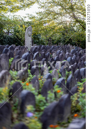 奈良元興寺の秋 110275850