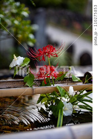 奈良元興寺の秋 奈良元興寺の秋 110275853