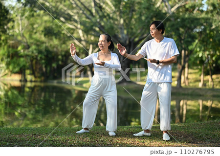 Full length Asian senior couple doing Tai Chi exercises in the park. Mental health and retired lifestyle concept. 110276795