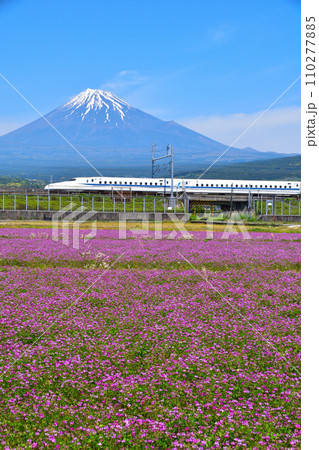 春 富士山 花畑 新幹線 春 富士山 花畑 新幹線 110277885