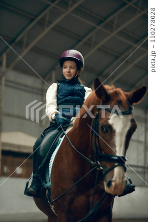 Portrait of little girl, child in helmet sitting on brown horse, training, practicing horseback riding. Portrait of little girl, child in helmet sitting on brown horse, training, practicing horseback riding. 110278028
