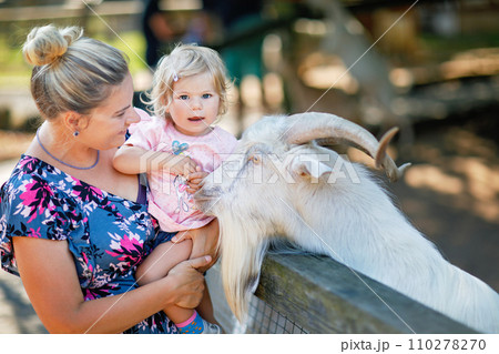 Adorable cute toddler girl and young mother feeding little goats and sheeps on kids farm. Beautiful baby child petting animals in petting zoo. Woman and daughter together on family weekend vacations Adorable cute toddler girl and young mother feeding little goats and sheeps on kids farm. Beautiful baby child petting animals in petting zoo. Woman and daughter together on family weekend vacations 110278270