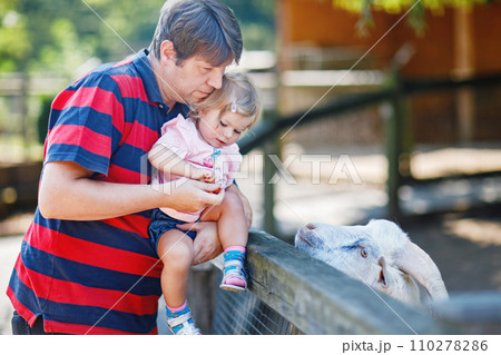 Adorable cute toddler girl and young father feeding little goats and sheeps on a kids farm. Beautiful baby child petting animals in petting zoo. man and daughter together on family weekend vacations. Adorable cute toddler girl and young father feeding little goats and sheeps on a kids farm. Beautiful baby child petting animals in petting zoo. man and daughter together on family weekend vacations. 110278286