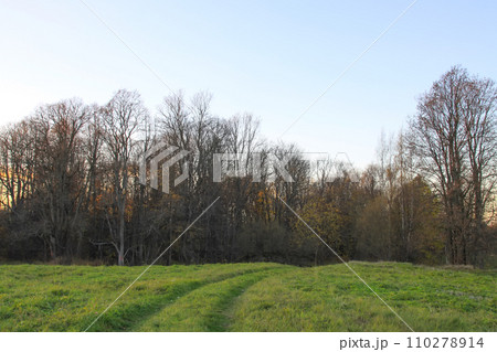 Scenic nature view. Autumn landscape in Latvia. 110278914