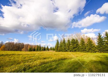 Scenic nature view. Autumn landscape in Latvia. Scenic nature view. Autumn landscape in Latvia. 110279131