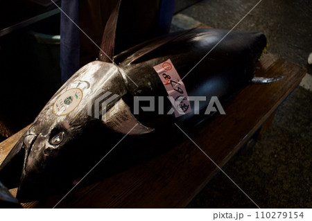 迫力満点の本鮪 110279154