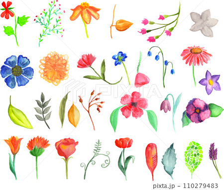 Floral set Floral set 110279483