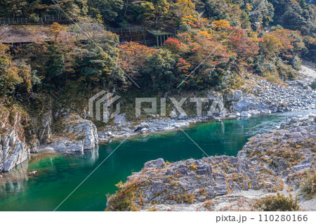 徳島県大歩危峡 110280166