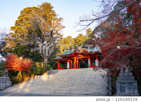 静かな朝の香取神宮 総門(千葉県香取市) 静かな朝の香取神宮 総門(千葉県香取市) 110280539