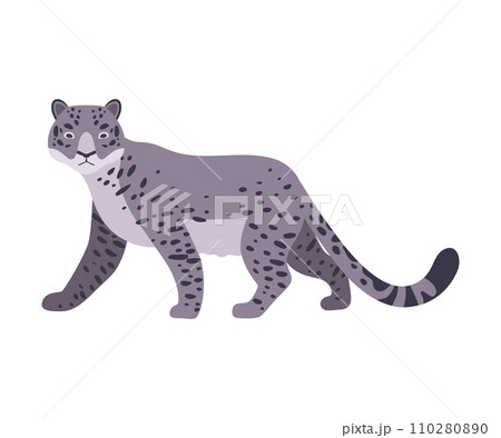 Snow Leopard. Vector illustration on a white background. 110280890