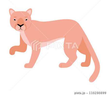 Orange Lioness. Vector illustration on a white background. 110280899