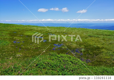 焼石岳姥石平付近の湿原 110281118