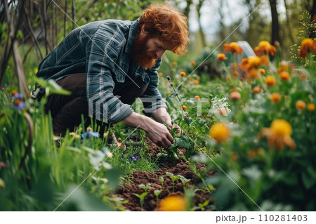 Young ginger man planting flowers in spring garden 110281403