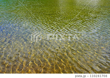 波打つ焼石沼の湖面 110281708