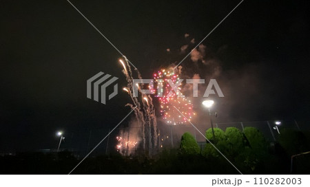 夏の夜に咲く花火 夏の夜に咲く花火 110282003