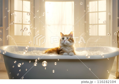 Close up of cute  cat looks out of the bath. Sweet kitten washes and swims 110282104