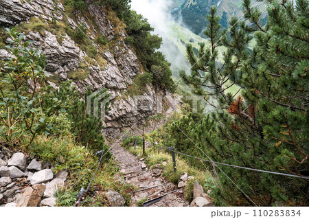 Hiking trail for climb with sling and stair to the top of the mountain in alpine Hiking trail for climb with sling and stair to the top of the mountain in alpine 110283834