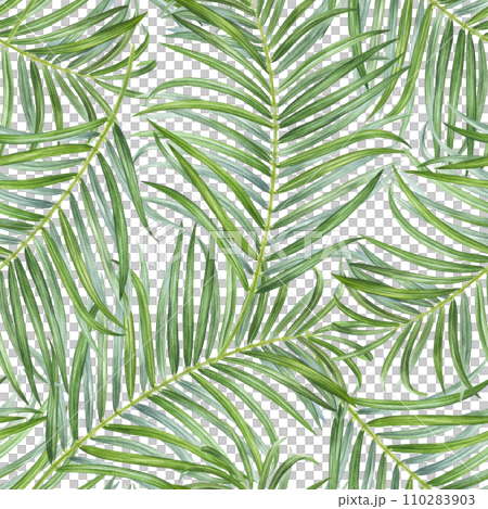 Palm Leaf seamless Pattern. Watercolor botanical illustration of Tropical branches. Hand drawn on isolated background. Exotic plant painting. Drawing of coconut foliage. Nature ornament summer print 110283903