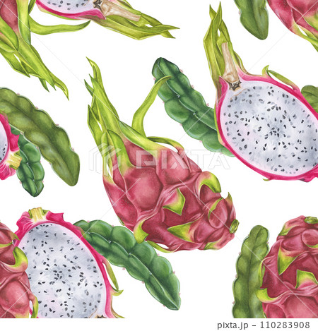 Dragon Fruit seamless Pattern. Watercolor botanical illustration. Hand drawn on isolated background. Tropical exotic Pitaya painting. Drawing of sweet food. Natural ornament for fabrics and textiles 110283908