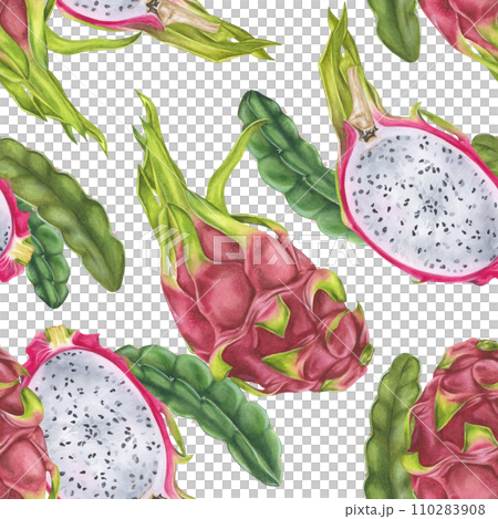 Dragon Fruit seamless Pattern. Watercolor botanical illustration. Hand drawn on isolated background. Tropical exotic Pitaya painting. Drawing of sweet food. Natural ornament for fabrics and textiles 110283908