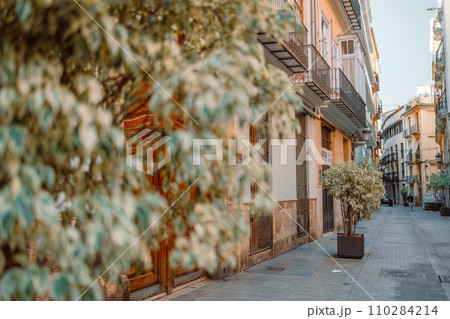 Urban Jungle. Public space decorated by lush green plant trees growing in pots on a city street. High quality photo Urban Jungle. Public space decorated by lush green plant trees growing in pots on a city street. High quality photo 110284214