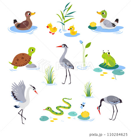 Swamp with Animals and Growing Water Plants Vector Set 110284625