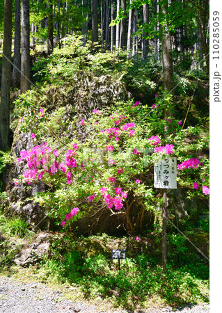 京都 貴船神社 つつみヶ岩(京都府京都市) 京都 貴船神社 つつみヶ岩(京都府京都市) 110285059