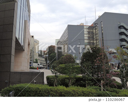 平日の午後の東京の街並み 平日の午後の東京の街並み 110286067